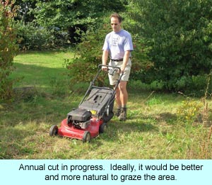Annual cut in progress